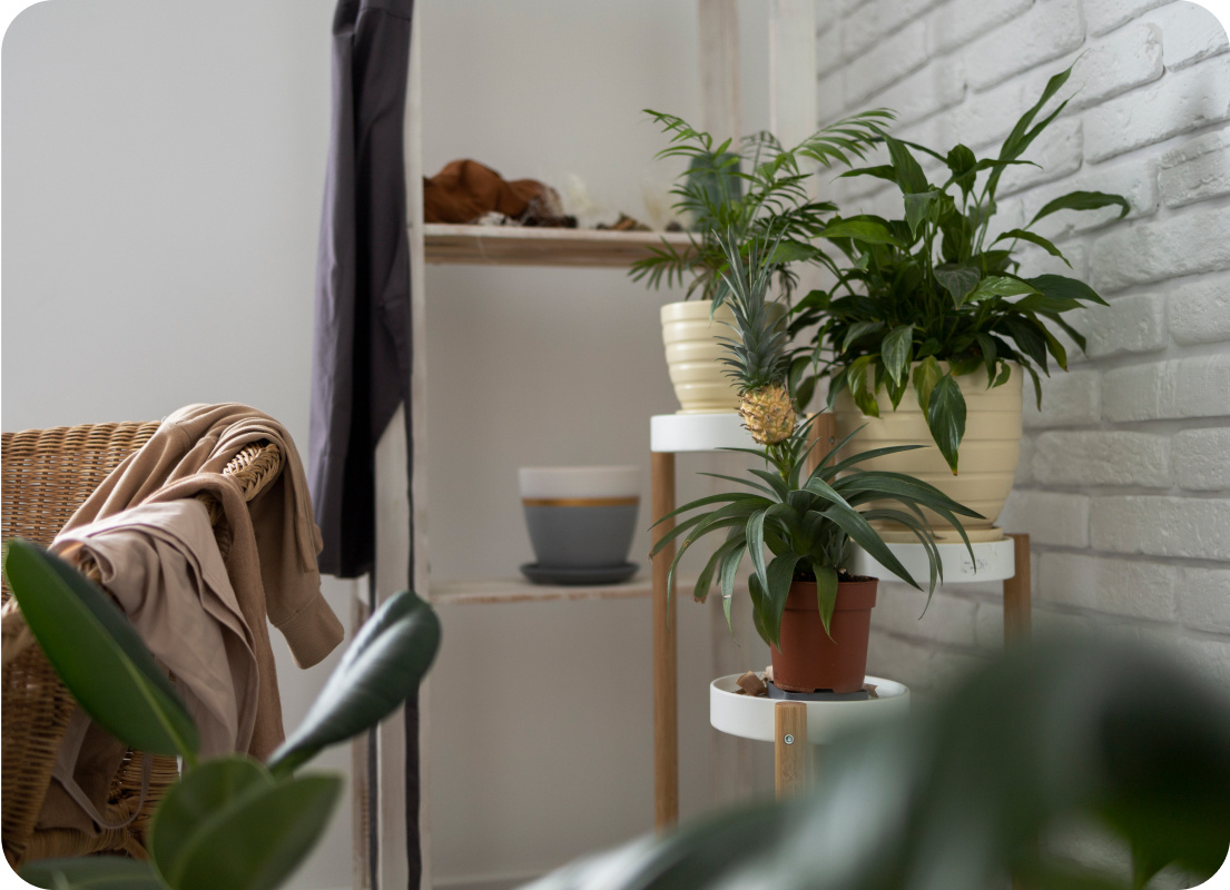 Image-Jul-25-2024-09-45-21-7276-AM